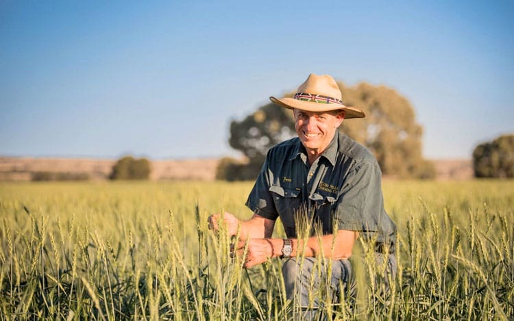 Regional telecommunications in the spotlight