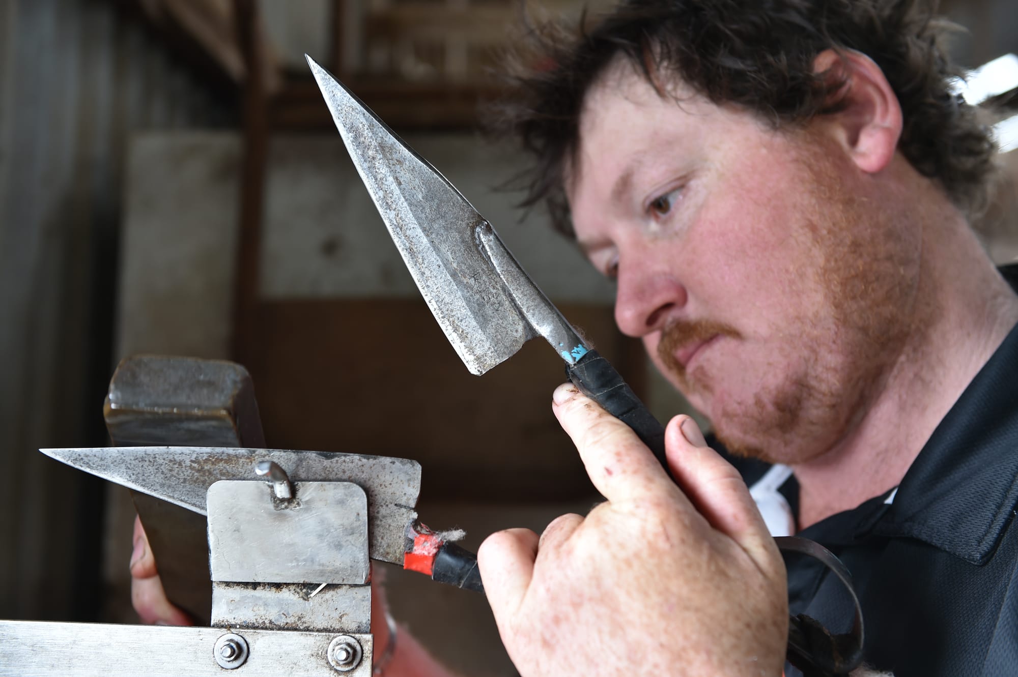 John Dalla’s shearing success in Scotland