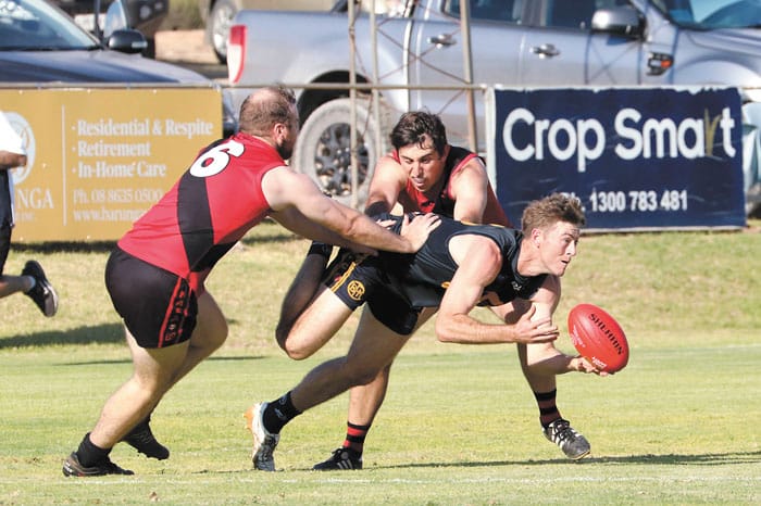 NAFA: Eagles grounded by Kangaroos