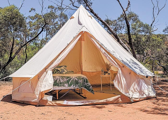 Autumn glow at Clare Valley Races