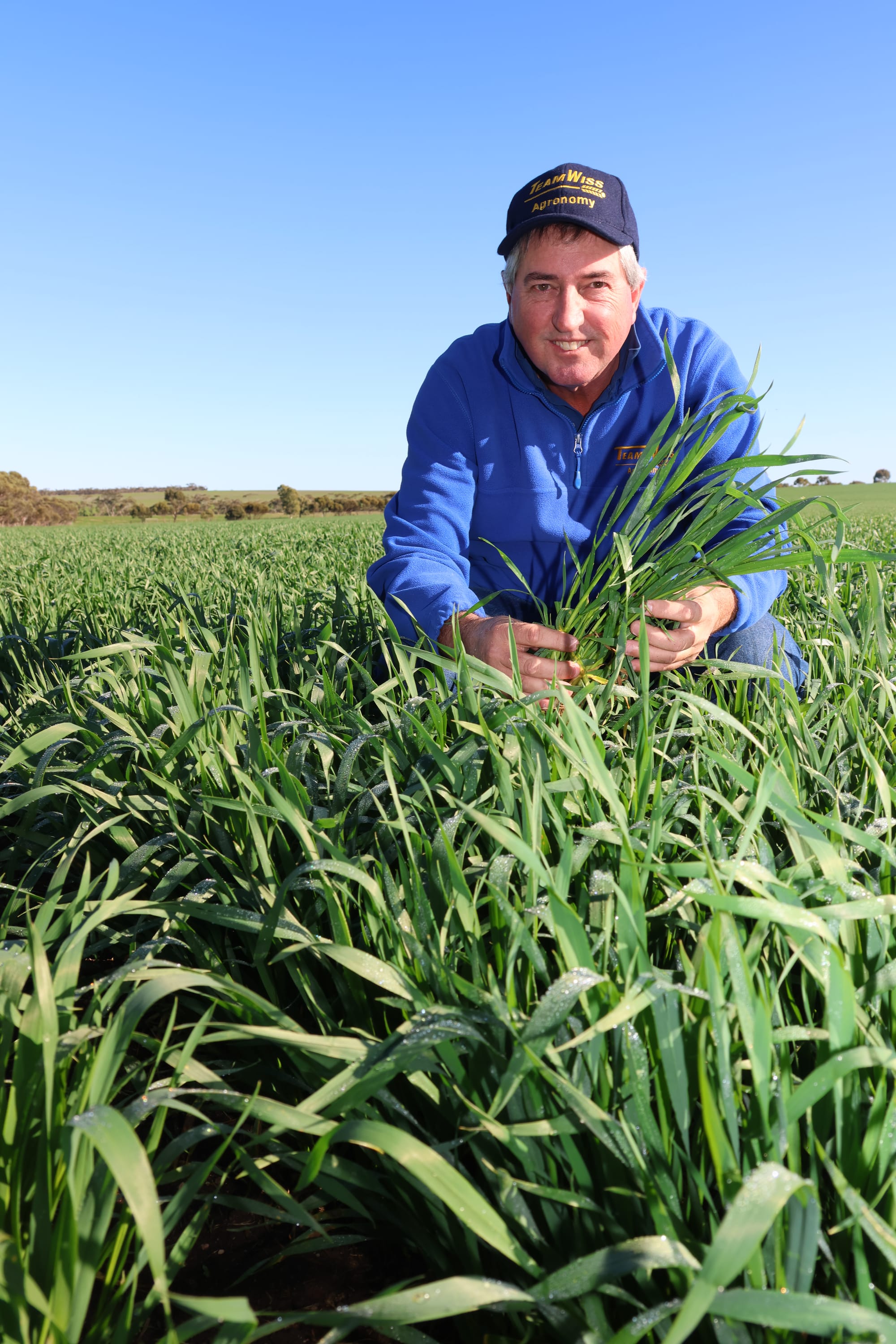 Sub soil moisture helping to keep grain season on track