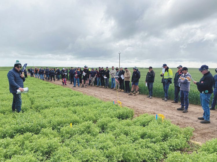 Herbicide resistance is not just a grass thing