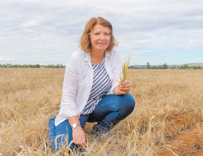 Weed management in mixed farming