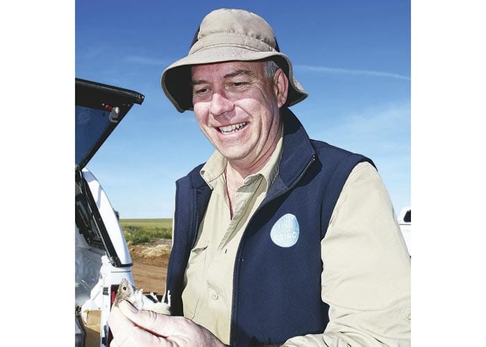 Mouse baiting – double the dose packs a more effective punch