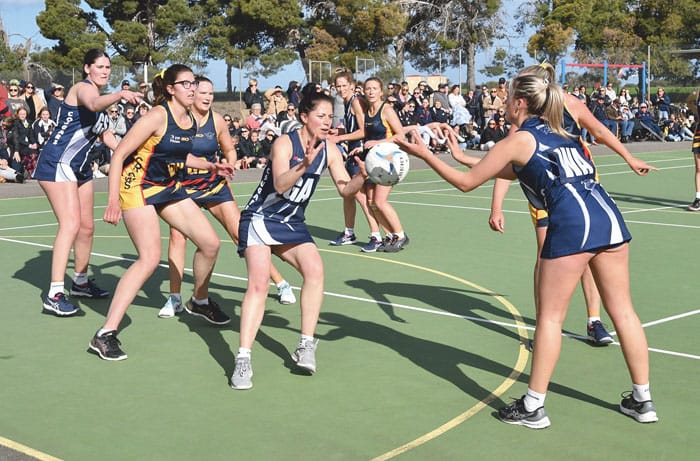 YPNA: Grand finals scores and reports