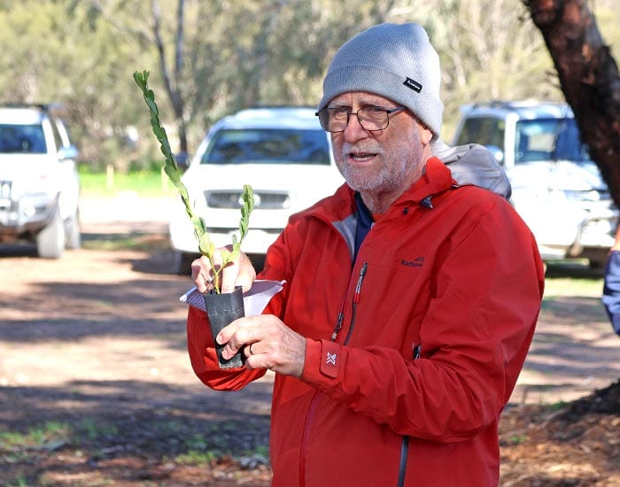 Moonta celebrates National Tree Day