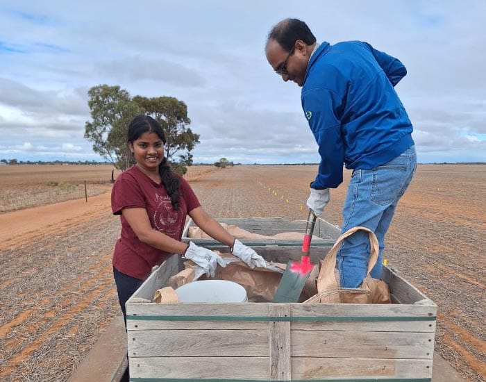 Trialling a dirt cheap fix for a $1.2 billion problem