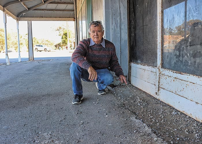 Pigeon problem persists