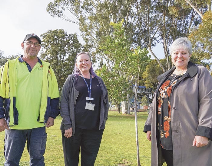 Adopt a tree for your street