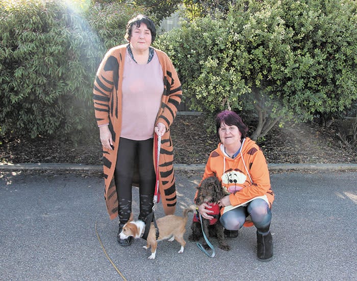 Be mindful of assistance dogs