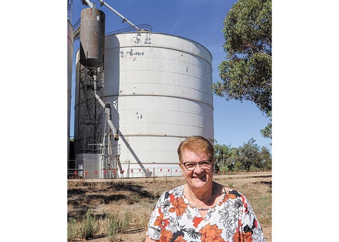 Concern for the future of Bute silos