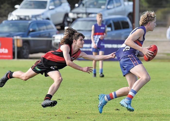 YPFL Jnr Colts... Dogs prove reigning premier status