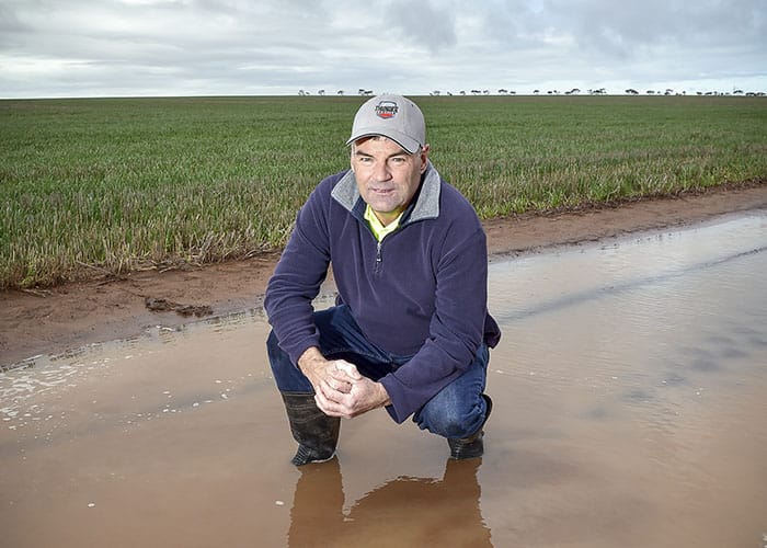 Hopes raised by rain at last