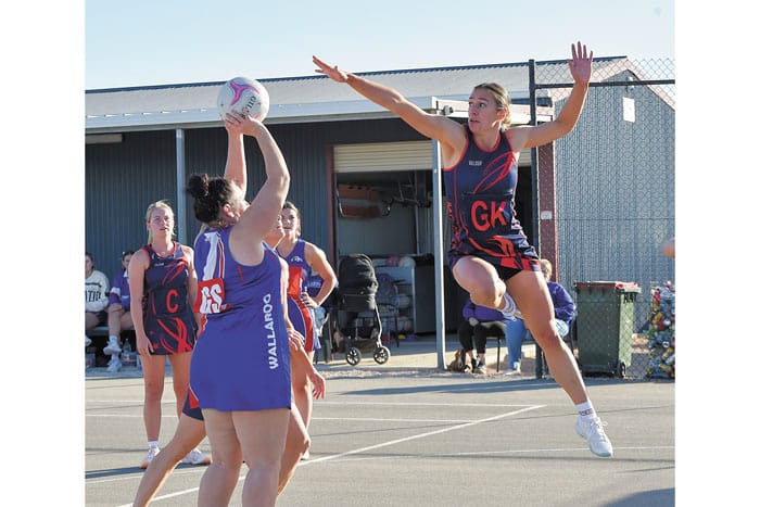 YPNA scores and reports