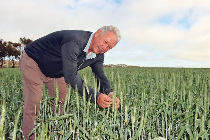 GM: Free to choose in Copper Coast