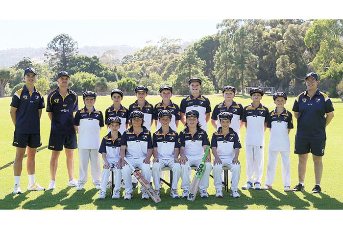Cricket: Learning experience for YP under 12s