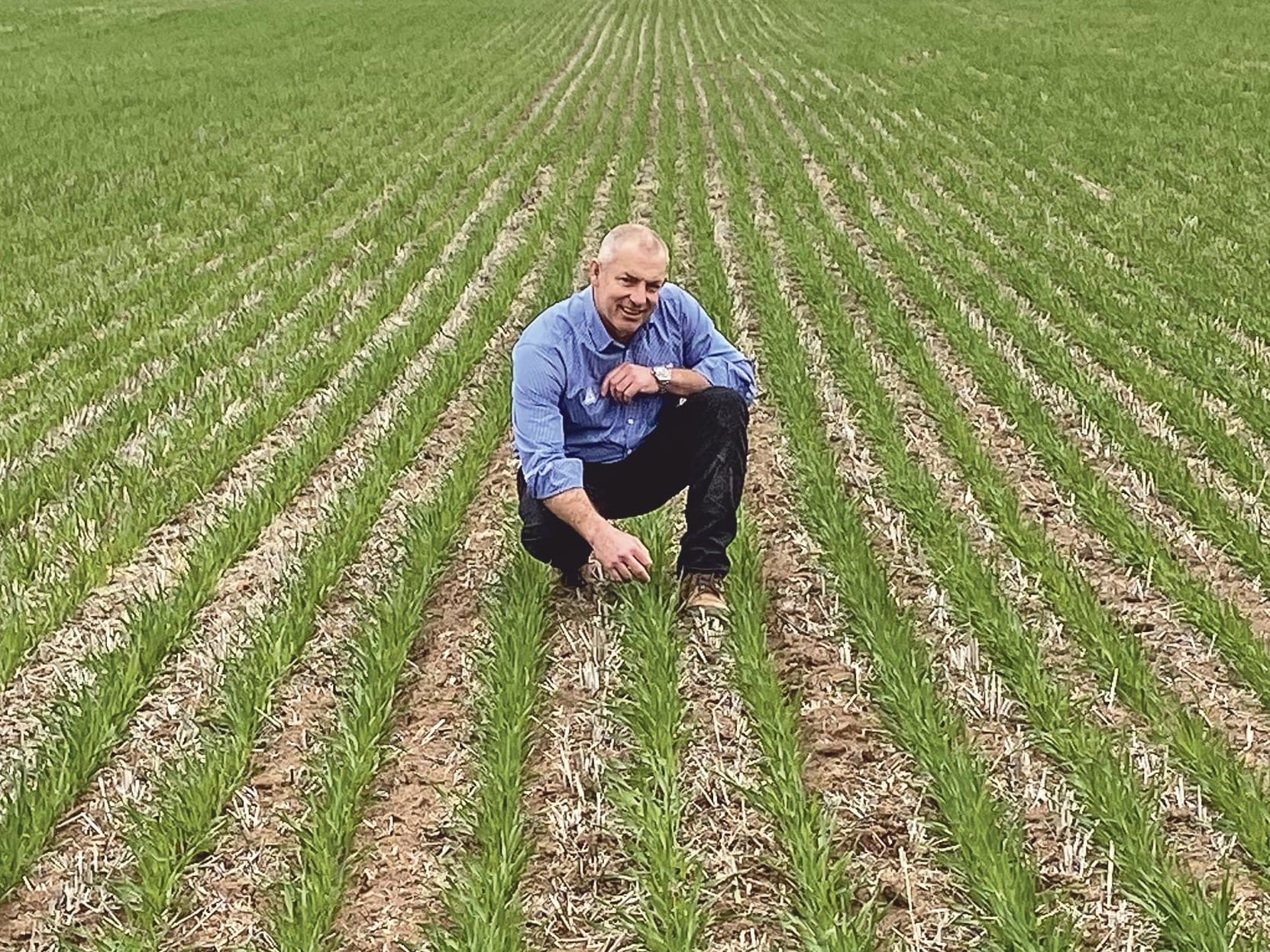 New fungicides answer wishes of growers