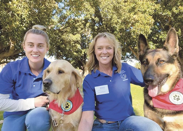 A pawsitive experience