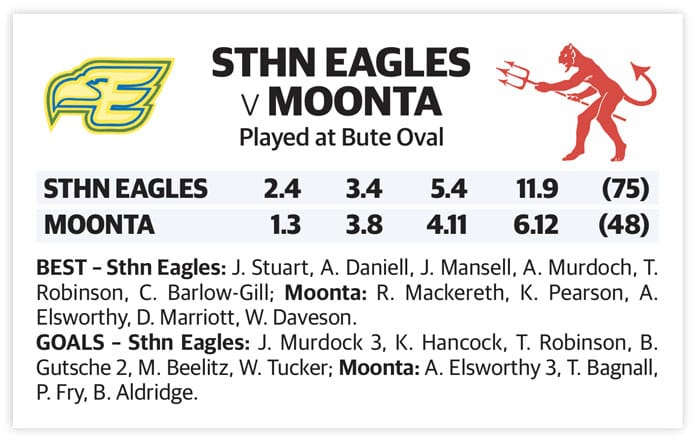 YPFL preliminary final – B grade