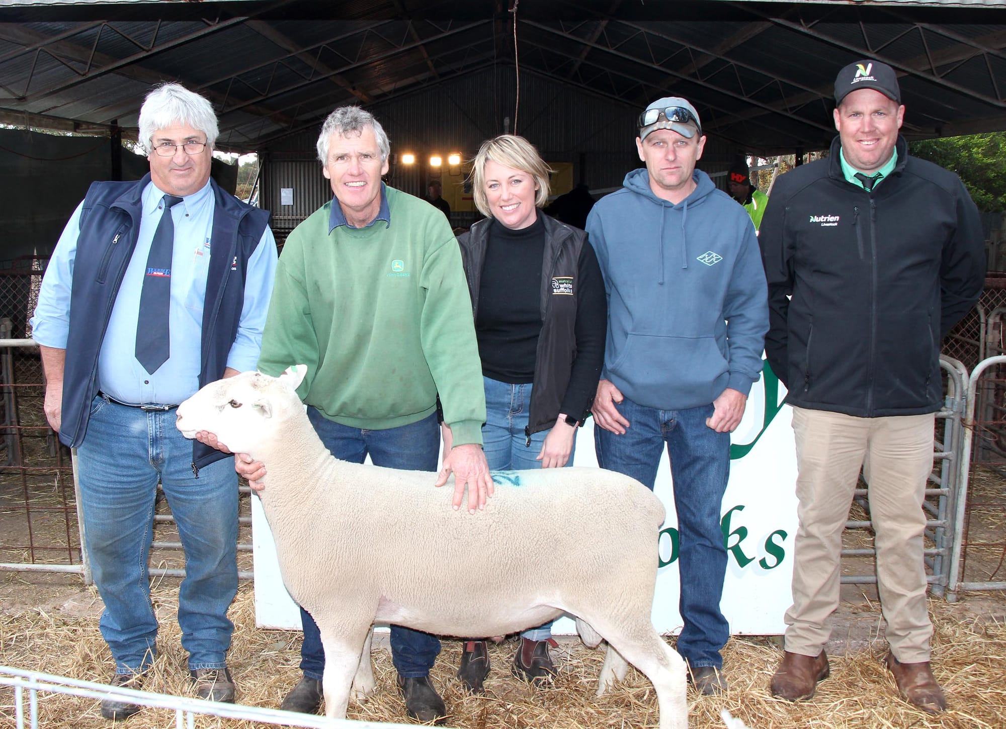 Jandebrey White Suffolk Stud