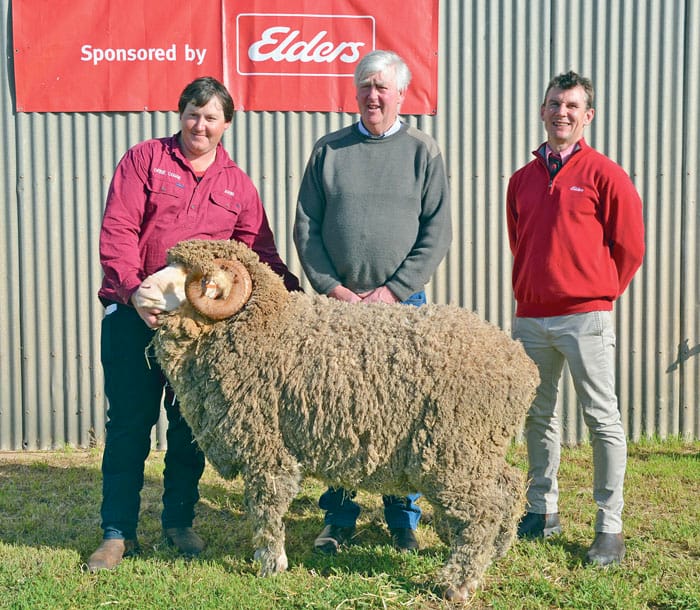 Near-record sale for Orrie Cowie