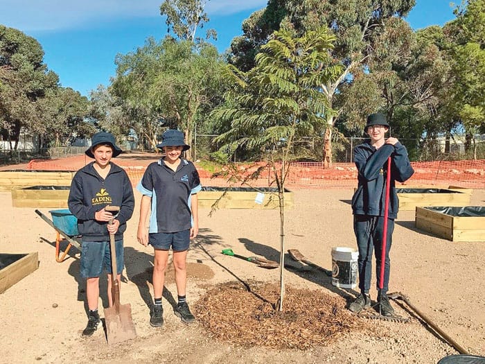 Community invited to help KMS garden