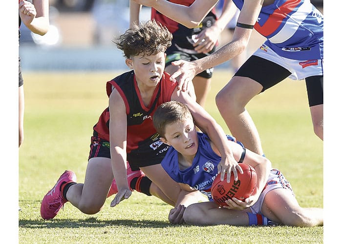 YPFL: Bloods defeat Dogs in rivalry game