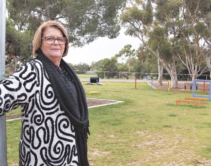 Budgeting for dog parks