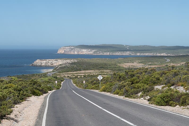 Fatal shark attack at Innes National Park