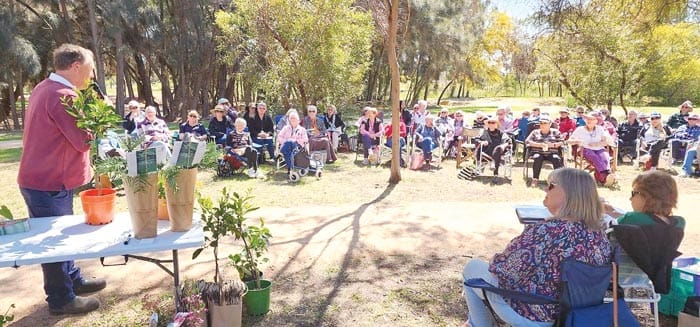 A day in the sun at McCauley Park