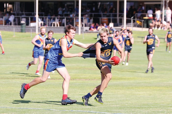 NAFA: Eagles fly over the top of Lions