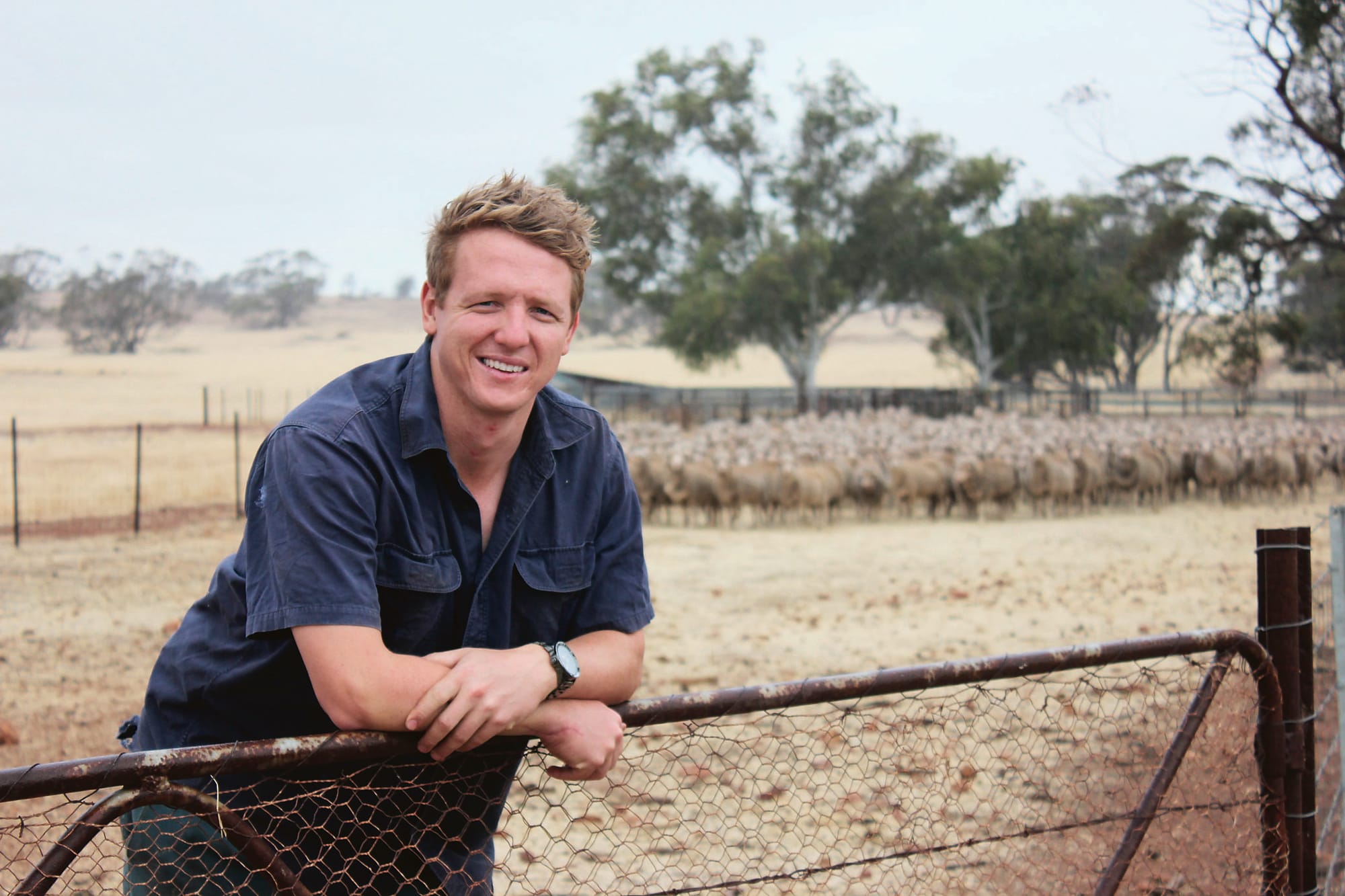 Global fertiliser price outlook — positive for Australian growers