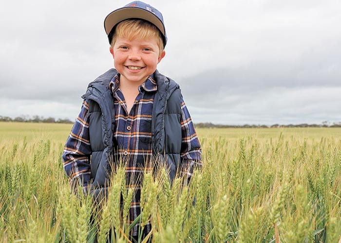 Starlight’s support