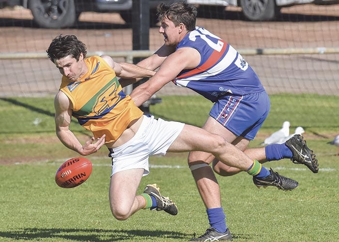 Eagles show finals form