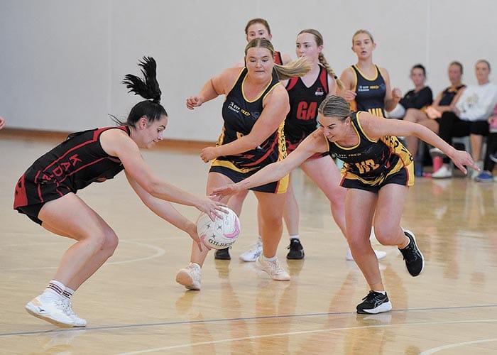 YPNA scores and reports