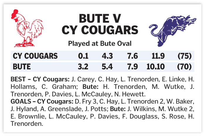 YPFL: Cougars lifted by late goal
