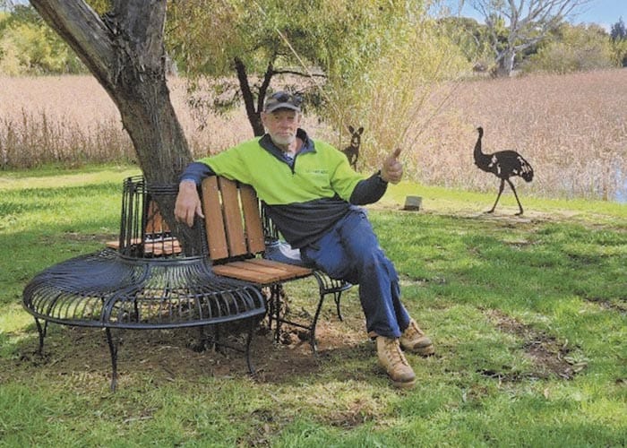 McCauley Park update