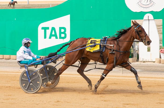Yorke Peninsula Harness Racing Club news