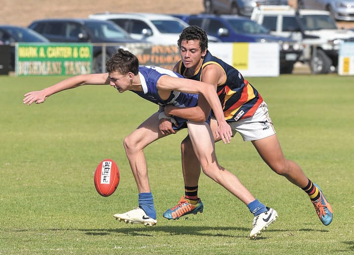 YPFL: Champion Crows conquer Roos