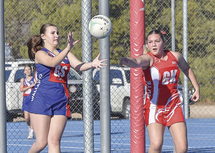 Netball... Yorke Peninsula scores and reports