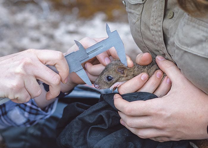 Help shape the future of Marna Banggara