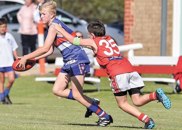 Bute kicks away against Dogs