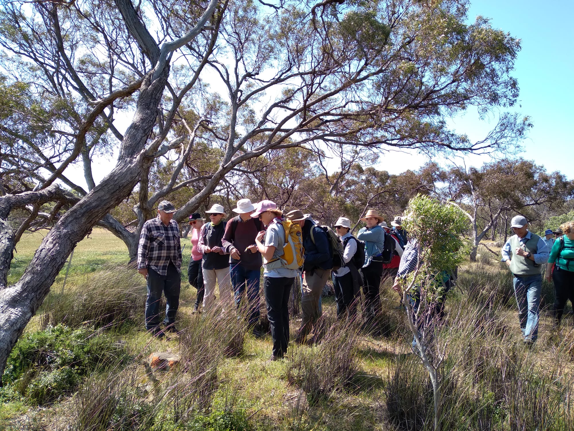 Friends take a bush walk