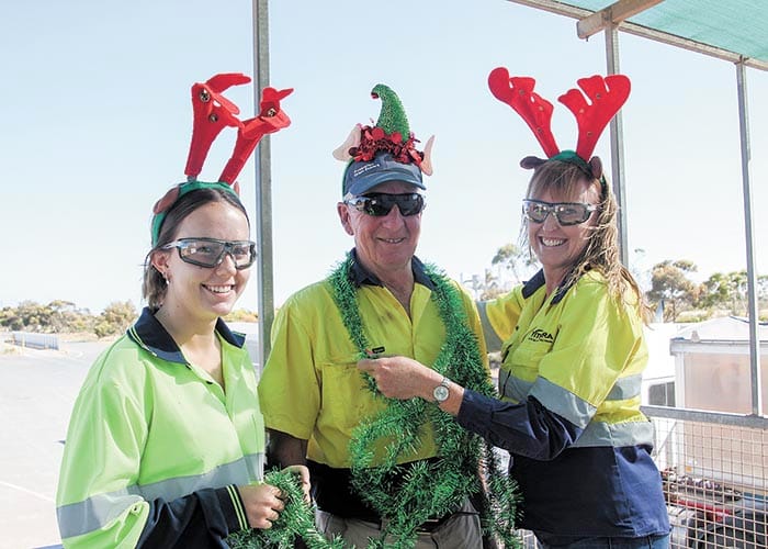 Harvest Christmas cheer