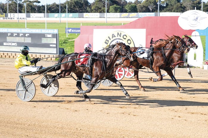 YP harness racing news
