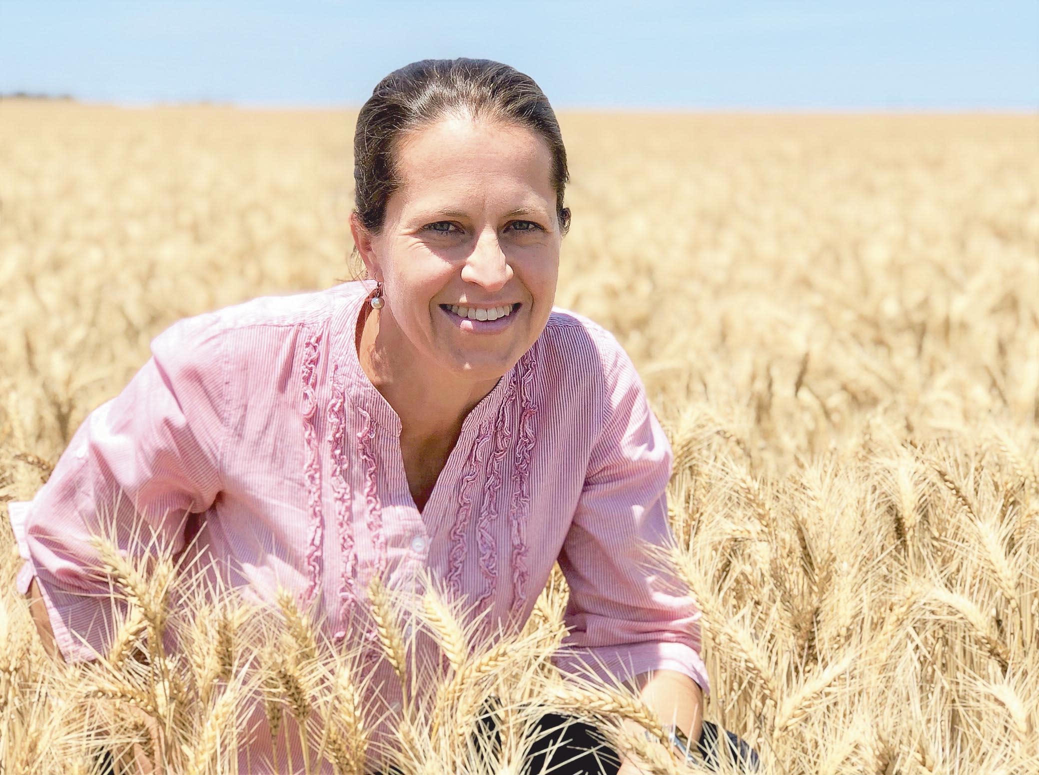 Winter crop planting rises again