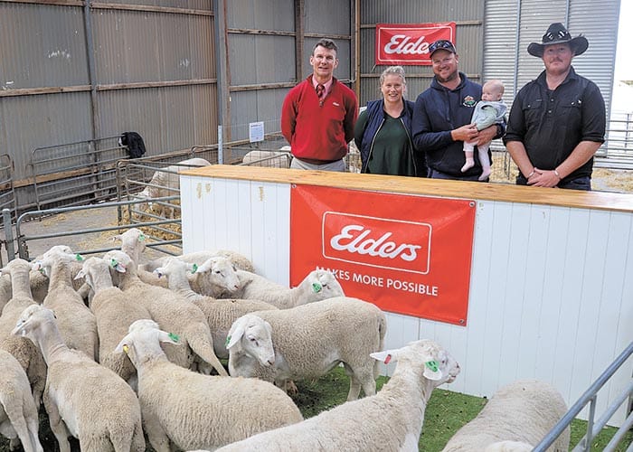 SheepMaster rams reach $16k top