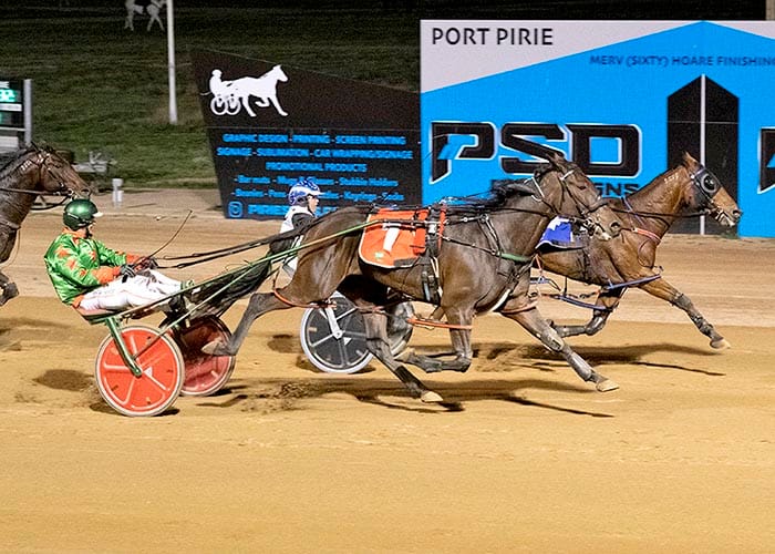 Port Pirie harness racing
