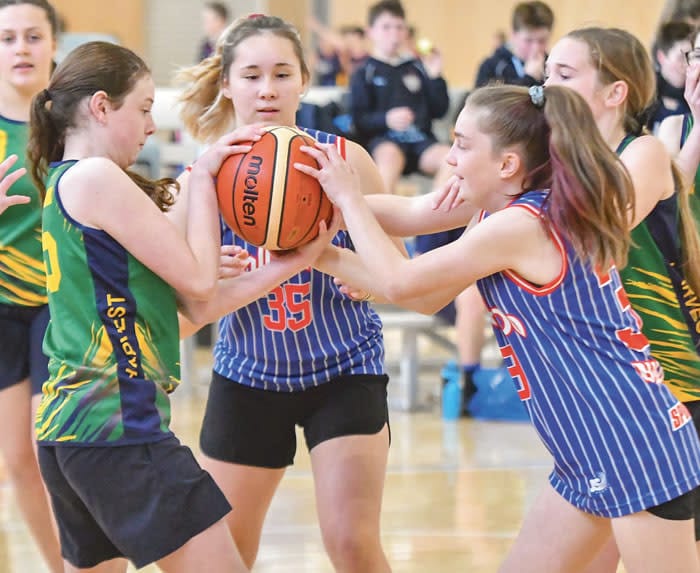 Basketball carnivals across the peninsula
