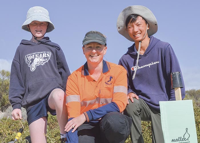 Council strategy coasting ahead